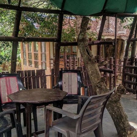 Jungle Jive Tree House Munnar住宿加早餐旅馆 外观 照片
