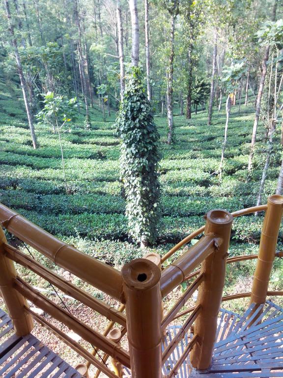 Jungle Jive Tree House Munnar住宿加早餐旅馆 客房 照片