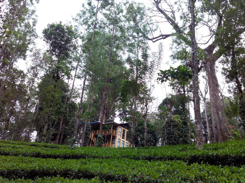 Jungle Jive Tree House Munnar住宿加早餐旅馆 外观 照片