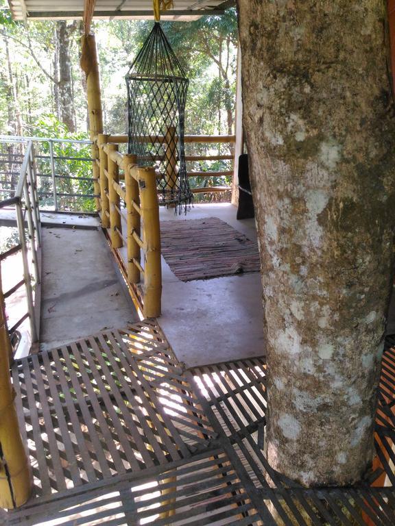 Jungle Jive Tree House Munnar住宿加早餐旅馆 外观 照片